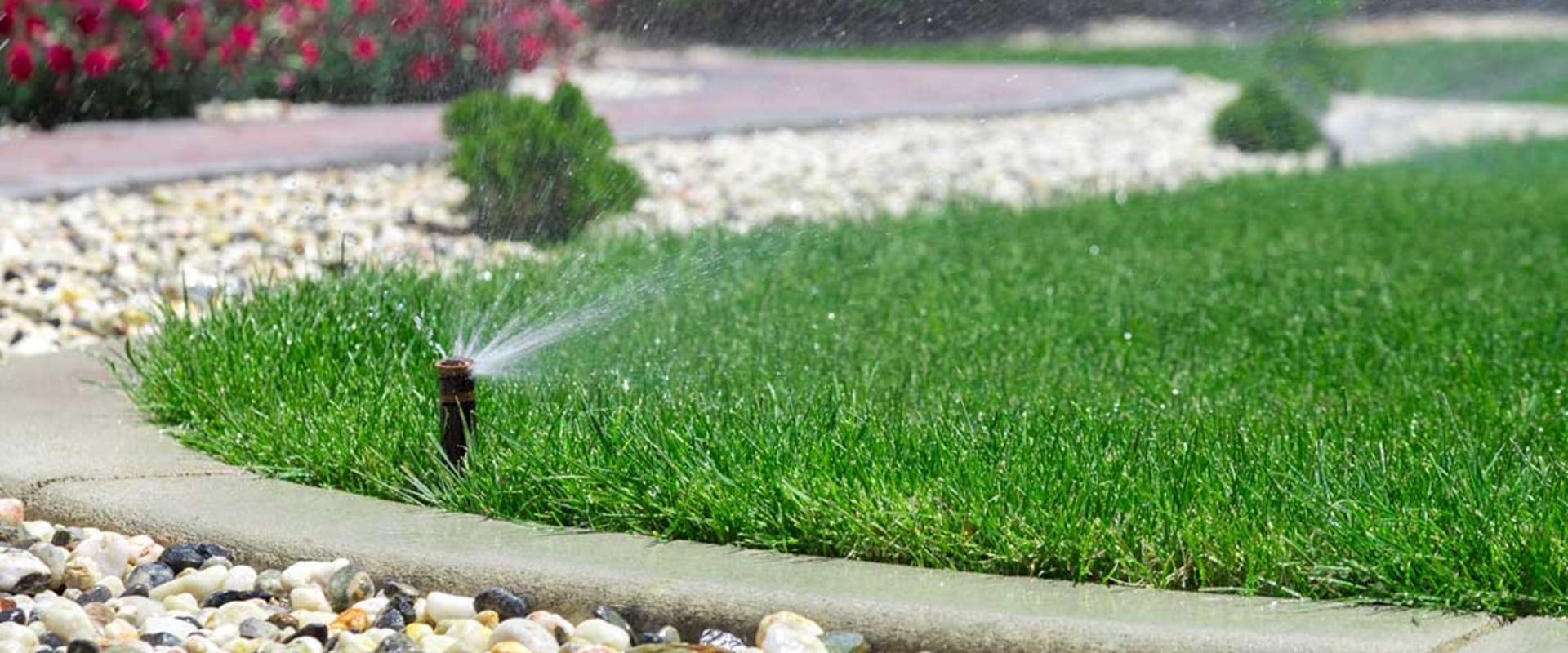 Watering and Irrigation: Tips for a Beautiful and Functional Outdoor Space