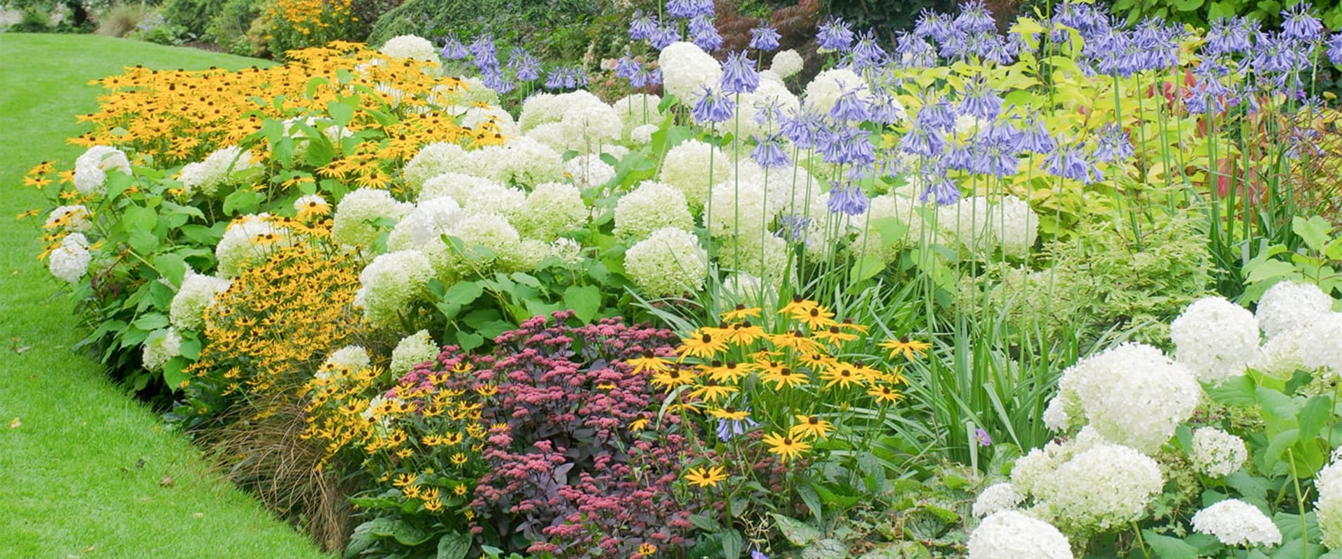 How to Create a Stunning Perennial Flower Bed