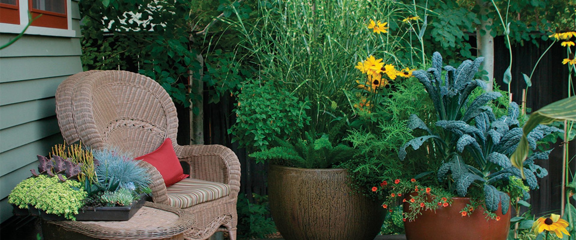 Container Gardens: How to Transform Your Outdoor Living Space