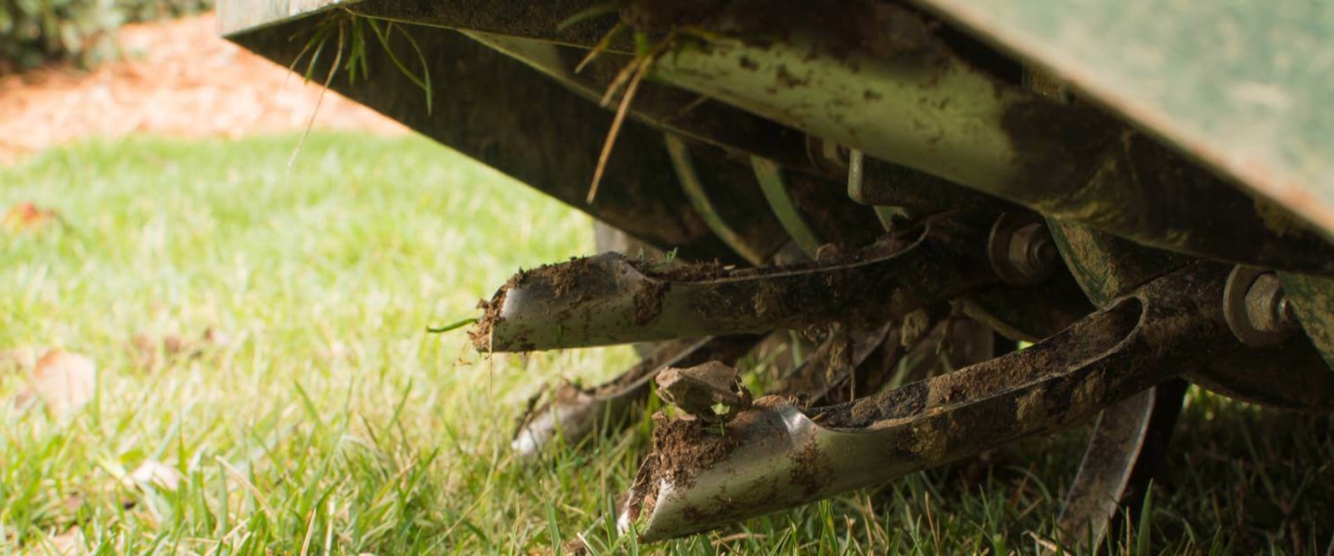 Fertilization and Aeration: The Key to a Beautiful and Functional Lawn