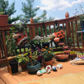 Creating a Butterfly Garden: How to Enhance Your Outdoor Living Space