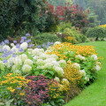 How to Create a Stunning Perennial Flower Bed