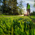 Organic Weed Control Methods for a Beautiful and Functional Outdoor Space