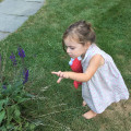 The Power of Chemical Herbicides for a Beautiful Lawn