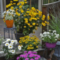 How to Make Your Garden Bloom: The Ultimate Guide to Annual Flower Pots