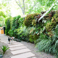 How to Create a Stunning Vertical Garden for Your Outdoor Living Space