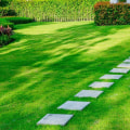 Exploring Warm-Season Grasses for a Lush and Functional Lawn