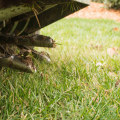 Fertilization and Aeration: The Key to a Beautiful and Functional Lawn