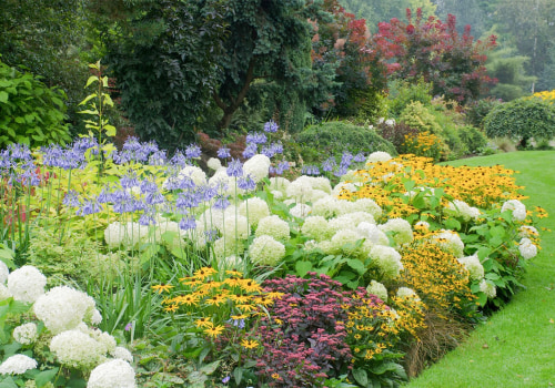 How to Create a Stunning Perennial Flower Bed