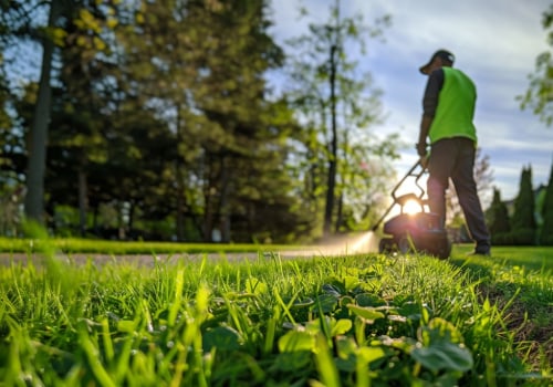 Organic Weed Control Methods for a Beautiful and Functional Outdoor Space