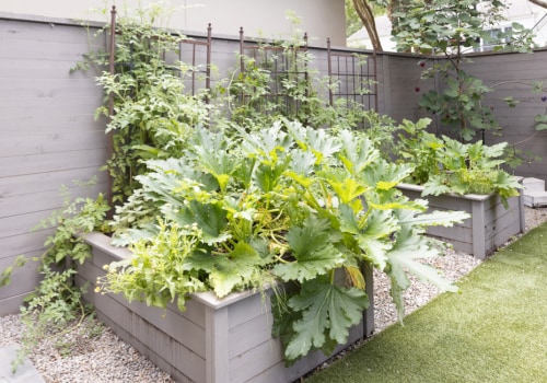 Raised Bed Gardening: Enhancing Your Outdoor Living Space