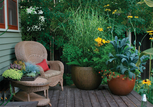 Container Gardens: How to Transform Your Outdoor Living Space