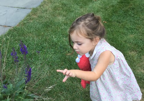 The Power of Chemical Herbicides for a Beautiful Lawn