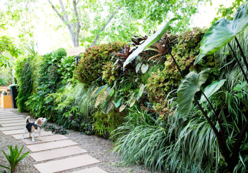 How to Create a Stunning Vertical Garden for Your Outdoor Living Space