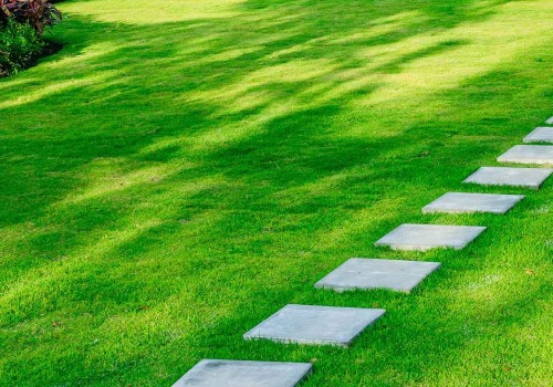 Exploring Warm-Season Grasses for a Lush and Functional Lawn