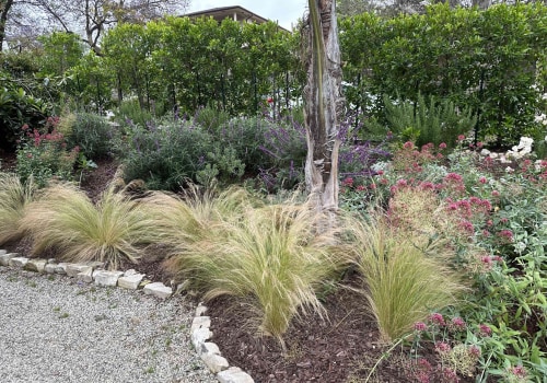 Drought-Resistant Grasses: Enhancing Your Outdoor Living Space